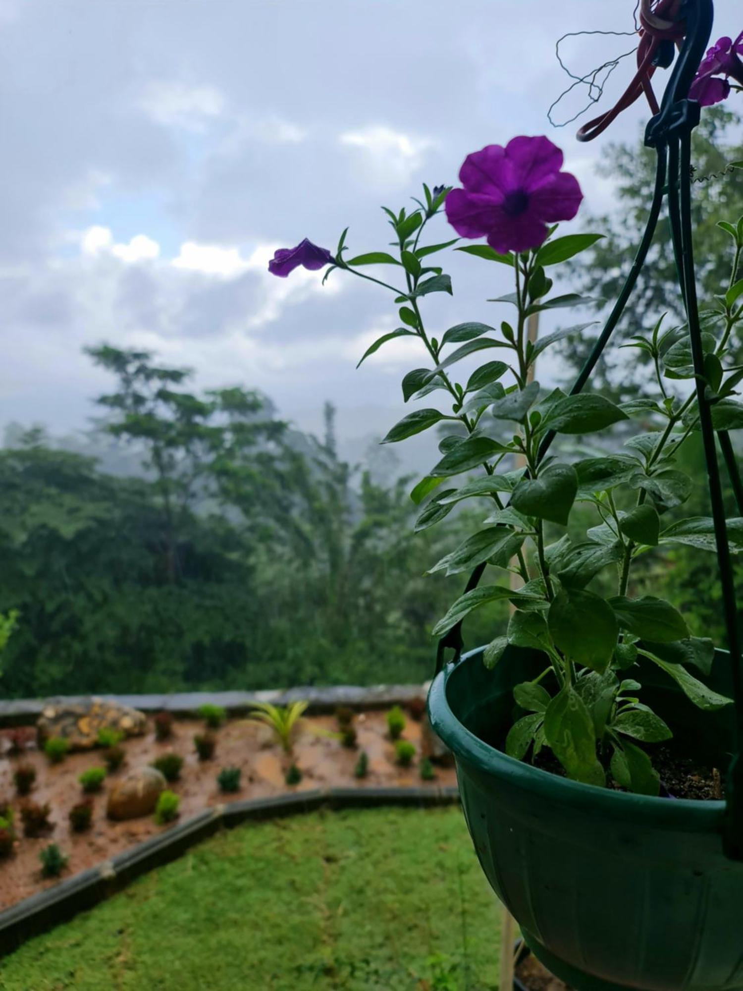 Hello Kandy Homestay Kültér fotó