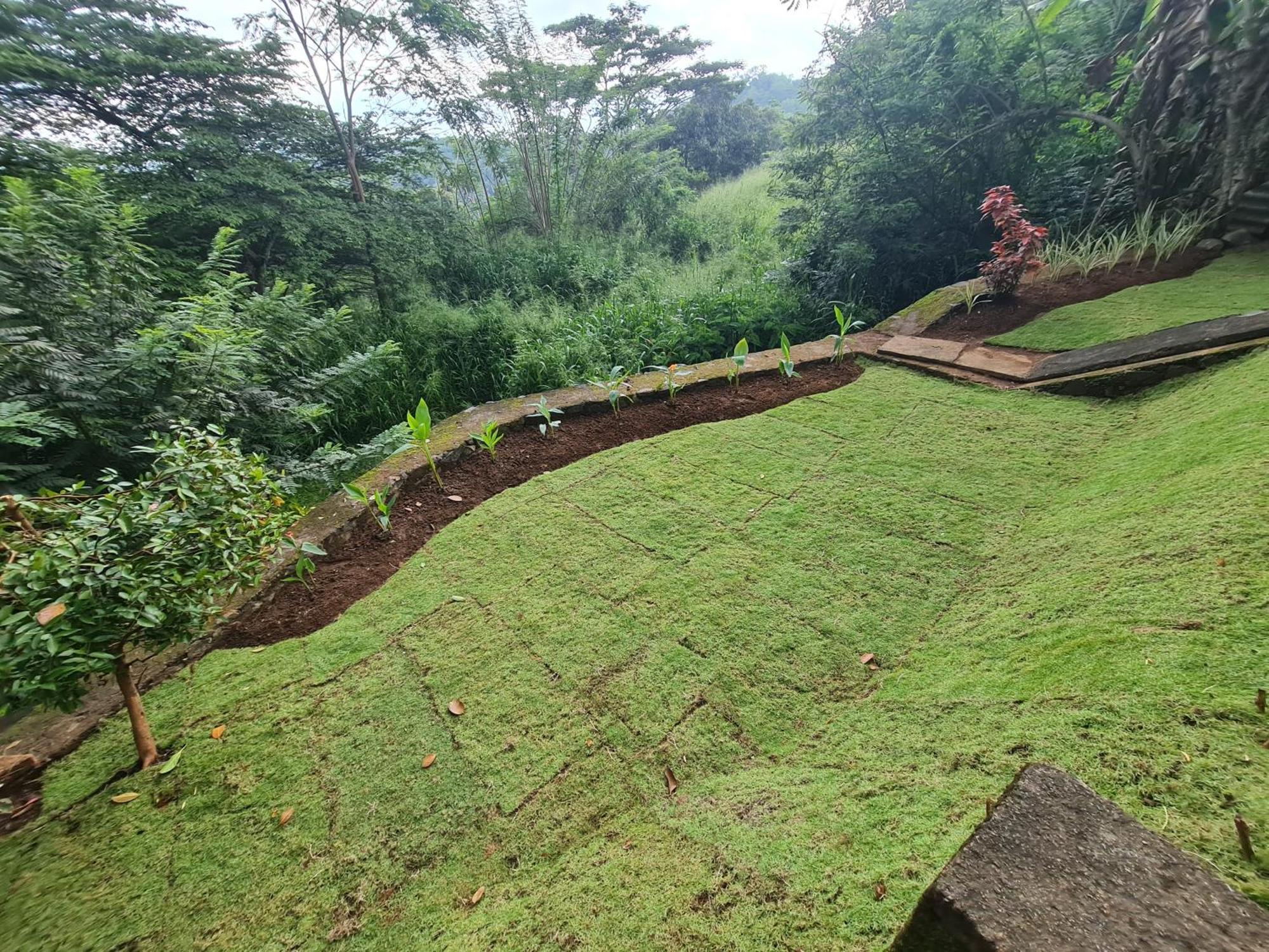 Hello Kandy Homestay Kültér fotó